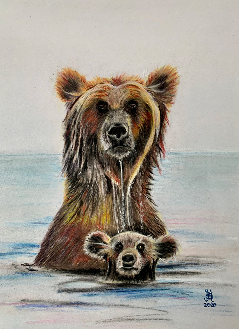 bears