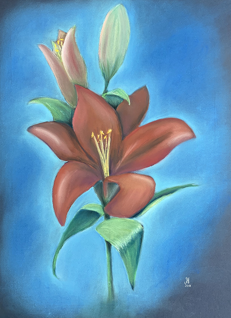 Red lilly