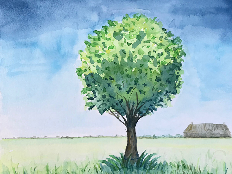 Tree in spring